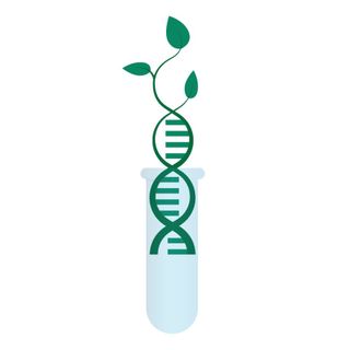 Botany