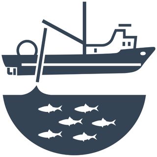 Commercial Fishing