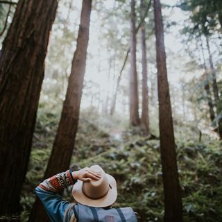 Forestry and Related Studies